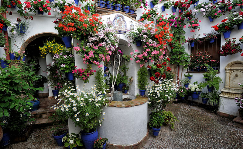 Típicos patios cordobeses