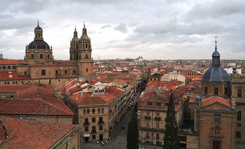 Salamanca views from a roof